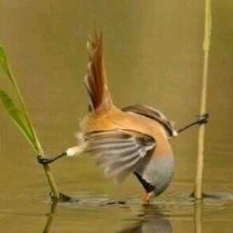 العفو والصفح والسماح 🎶