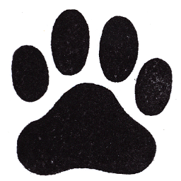 BCSPawprints's profile picture. Our staff is made up of @liz_graves34, @caitlynm15, @Tsham22, @Astine24, Tommy Davis & Ian Raper.