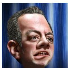 Reince_Priebus's profile picture. This is a parody account.