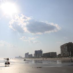 dane32's profile picture. 