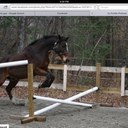 Fiona Neilson - @NeilsonFiona - Twitter