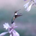 Terry Taraba - @TerryTaraba - Twitter