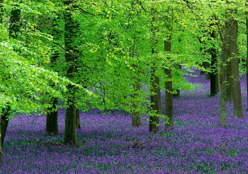 EachDaysNew's profile picture. 