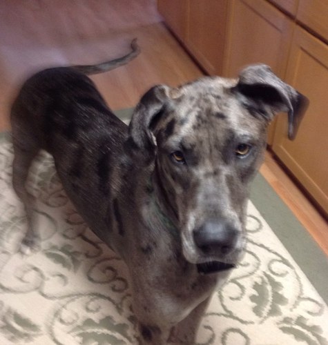 KimKimf2012's profile picture. 