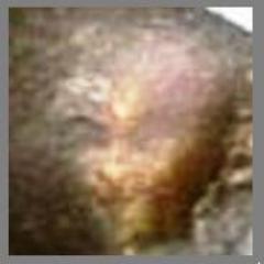 FOR SALE THE ONLY ROCK IN THE WORLD WHIT ALIEN'S FACE CORRE LA VOZ DIFUNDE ESTE MENSAJE GRACIAS alienroca@hotmail.com
SEE MORE IN FACE BOOK GRAN ALIENROCK