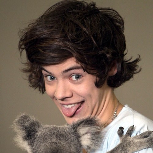 I'm Harry's bitch. Ok. Got it.