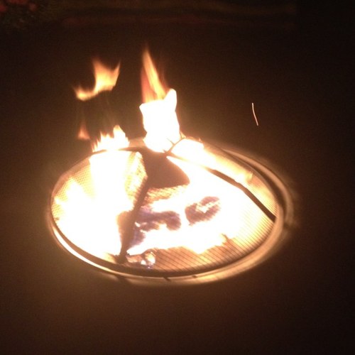 simpson503's profile picture. 