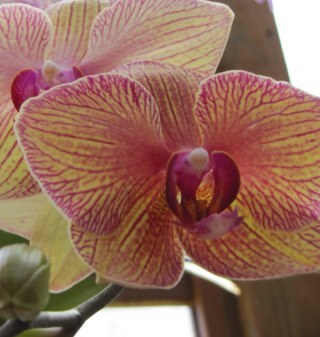 jeanettecuster's profile picture. Follower of Christ, wife to Doug, mom to Drew and Jerica! I love life!