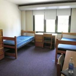 Seriously, we all know roommates suck.