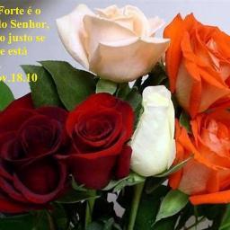 MARISA COELHO , DEUS É MEU GUIA!!!!!!!!