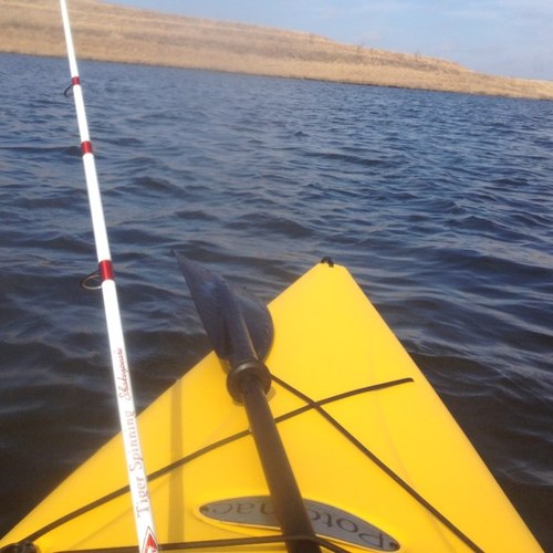 ForsythKT's profile picture. Everything happens for a reason.