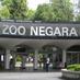 Zoo_Negara (@znegara) Twitter profile photo