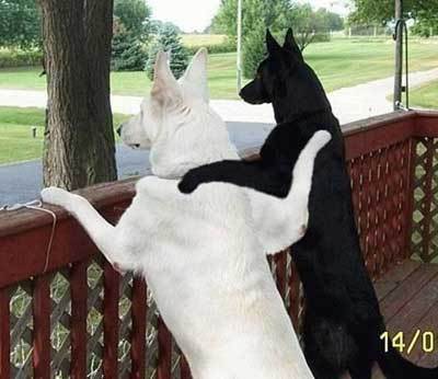 Idiotsontheair's profile picture. Idiots on the Air is your favorite Podcast