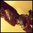 halleydcghyatt's profile image
