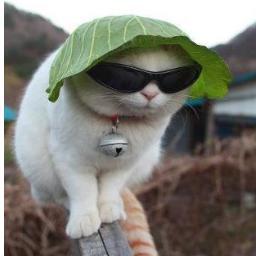 munmun77776334's profile picture. 