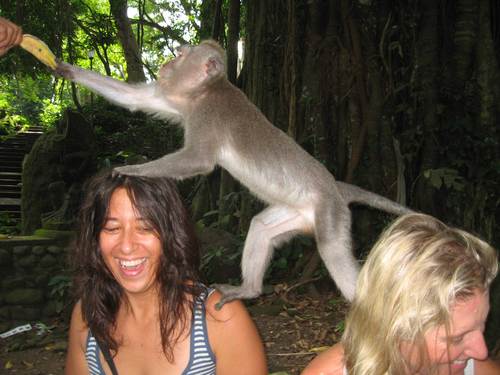 colettew's profile picture. Marketing/Strategy/Social Media Consultant, and Writer.