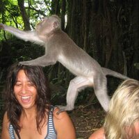 Colette Weintraub (@colettew) 's Twitter Profile