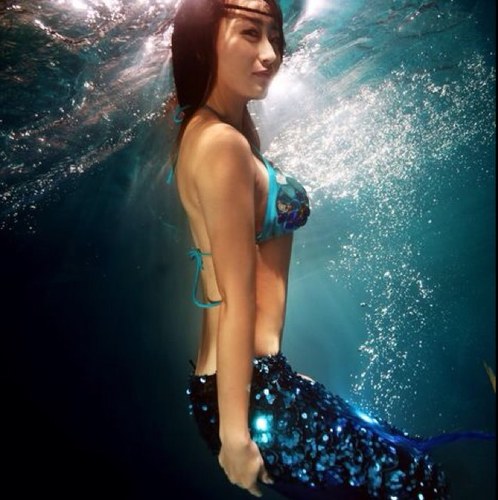 miaodaoxian Profile Picture