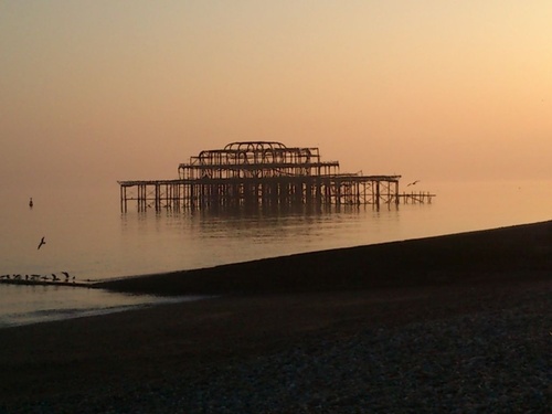 hovefactually's profile picture. factually in Hove