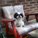 travis pacheco - @travpach - Twitter