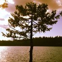 Cory Swint - @corcor86 - Twitter