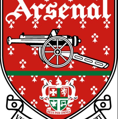 Arsenal supporter. #goonerfamily. #COYG. F1. boxing #PS4 #xboxone gamer