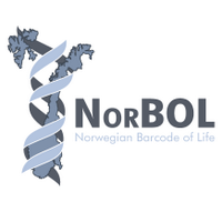 NorBOL(@norwbol) 's Twitter Profile Photo