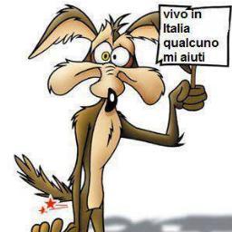 RobertoVasile's profile picture. Facebook