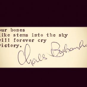 NasutionSandy's profile picture. 