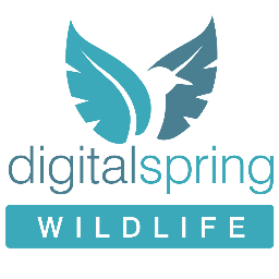 12 websites, 2 magazines, BirdfairTV and our Twitter feed.   Delivering Nature and Environmental stories for birders, wildlife enthusiasts & everyone else.