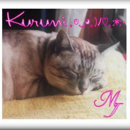 くるみさんのプロフィール画像