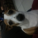 kathy curtis - @jamesc008 - Twitter