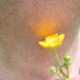 Neil Vance (@neilvance68) Twitter profile photo Neil Vance (@neilvance68) Twitter profile photo
