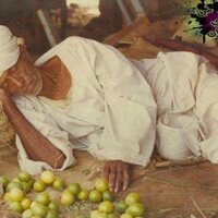frahalmohajer (@frahalmohajer) Twitter profile photo