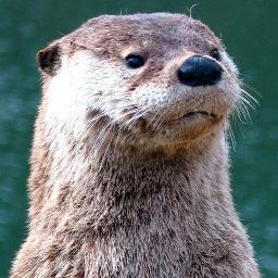 Head of infra @applydia , ex @fotolia/@adobestock/@Ledger, rubyist, hacker, terraformer, automator
@nico@oisaur.com on mastodon