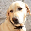 Roberta Sánchez - @robertaire - Twitter