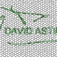 davida (@dastin) 's Twitter Profile