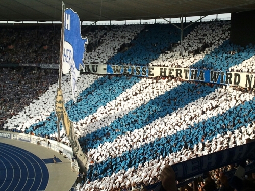 Danbluewhite's profile picture. Hertha BSC, @Dan bei immerhertha.de , Baseball, American Football