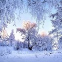 Alisher Seitkuzhanov (@007Alish) Twitter