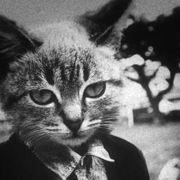 ya_ne_vse's profile picture. Ем грибы по праздникам