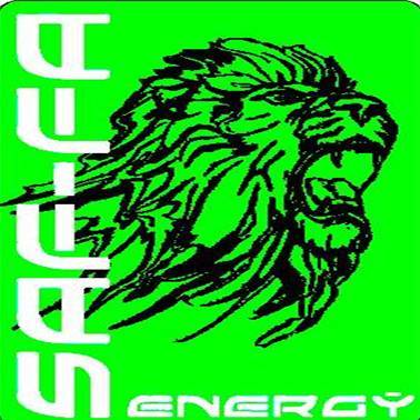Be the Lion!! New Austrian Halal energy drink in SA! Official Drink of Kickboxing SA! Sponsor of IBO Champ Ryno Liebenberg, EFC star JP Kruger & Hot Box Gym