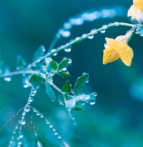 zccr99's profile picture. 