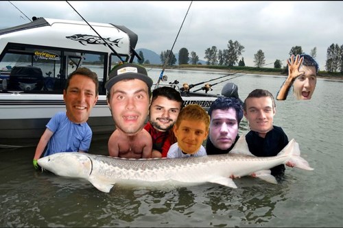 Offical Twitter home of The Chesham Sturgeons.
Acipenser oxyrinchus oxyrinchus