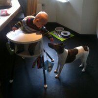 Staffan Seger (@staffanseger) 's Twitter Profile Photo