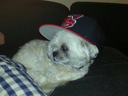 MLHambone's profile picture. 