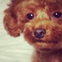 Yui T (@11HM3305) Twitter