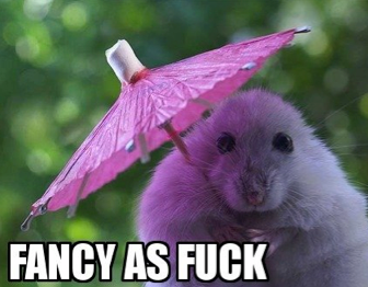 Vectorious0916's profile picture. I love laughing.