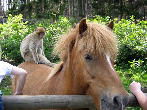 lanasana's profile picture. 324ppm