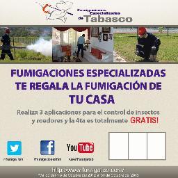 Empresa de control de plagas 100% Tabasqueña. Nuestra misión es brindar a la sociedad un servicio con profesionalismo, seguridad y calidad www.fumigatab.com