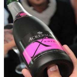 pmenardAmbsdr's profile picture. fines bulles for ever